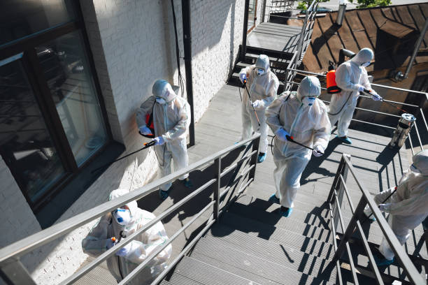 Best Airborne Mold Testing  in Tillson, NY